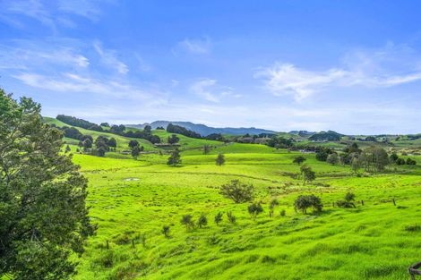 Photo of property in 25 Mapuna Road, Tangiteroria, 0381