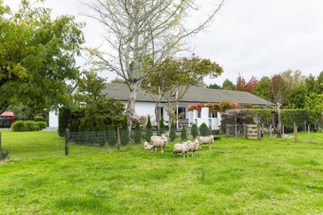 Photo of property in 121 Somerton Road, Makauri, Gisborne, 4071