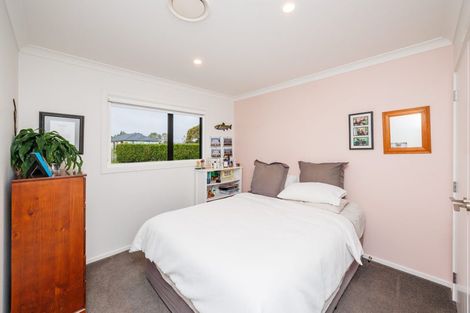 Photo of property in 18 Robbie Lane, Ashhurst, Palmerston North, 4470