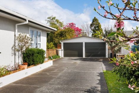 Photo of property in 50 Sheffield Street, Awapuni, Palmerston North, 4412