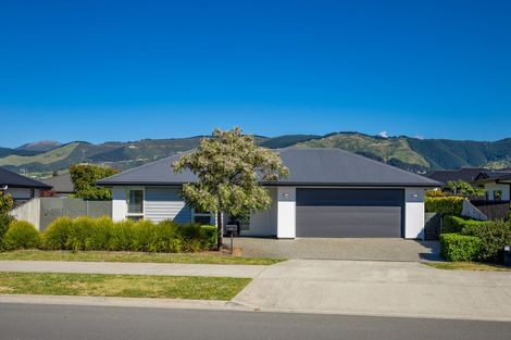 Photo of property in 45 Berryfield Drive, Richmond, 7020