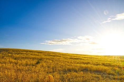 Photo of property in 45 Mcarthur Road, Springvale, Alexandra, 9391