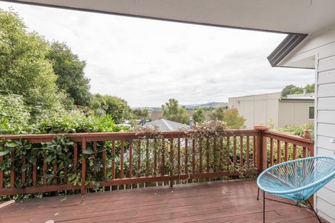 Photo of property in 50 Churchill Avenue, Richmond, 7020