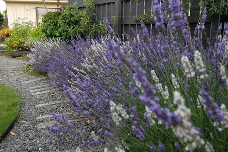 Photo of property in 31 Rothwell Street, Titahi Bay, Porirua, 5022