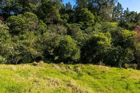 Photo of property in 42 Tirohanga Road, Kawakawa, 0282