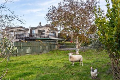 Photo of property in 50 Tui Street, Pahiatua, 4910