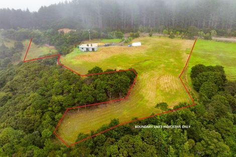 Photo of property in 60 Summer Road, Tinopai, Matakohe, 0593