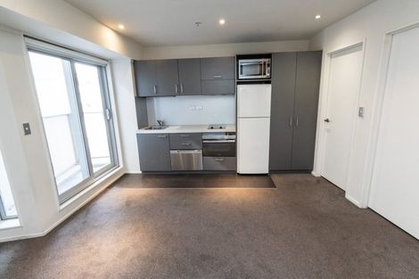 Photo of property in Soho Apartments, 519/74 Taranaki Street, Te Aro, Wellington, 6011