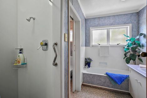 Photo of property in 103 Graham Street, Thames, 3500