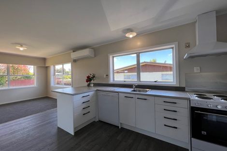 Photo of property in 20 Fernleigh Street, Chartwell, Hamilton, 3210