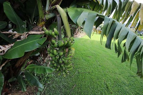 Photo of property in 129 Peria Road, Peria, Kaitaia, 0482