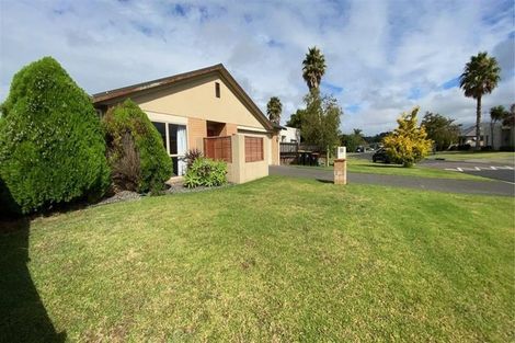 Photo of property in 84 Solomon Street, Brookfield, Tauranga, 3110