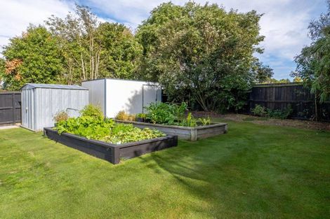 Photo of property in 14 Mcdougal Place, Kaiapoi, 7630