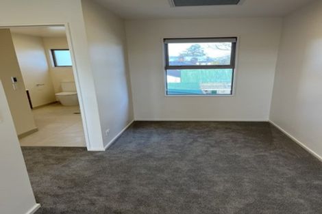 Photo of property in 395 Selwyn Street, Addington, Christchurch, 8024