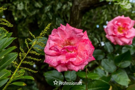 Photo of property in 3 Alleys Way, Ebdentown, Upper Hutt, 5018