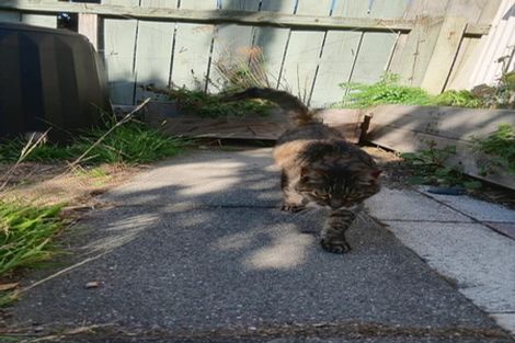 Photo of property in 119 Apu Crescent, Lyall Bay, Wellington, 6022