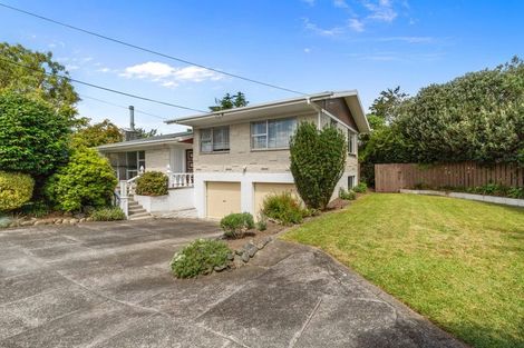 Photo of property in 80 Lewis Street, Glenview, Hamilton, 3206