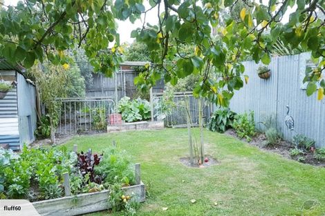 Photo of property in 19 Sturrocks Road, Redwood, Christchurch, 8051