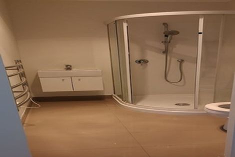 Photo of property in 22 Nixon Street, Hamilton East, Hamilton, 3216