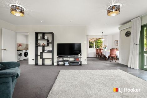 Photo of property in 4a Ronay Street, Bradford, Dunedin, 9011