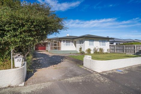 Photo of property in 32 Aberdeen Avenue, Takaro, Palmerston North, 4412