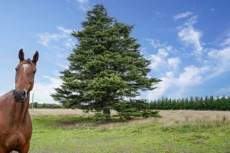 Photo of property in 149 Riverside Road, Okuku, Rangiora, 7473