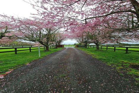 Photo of property in 161 Hautapu Road, Pukemoremore, Cambridge, 3493