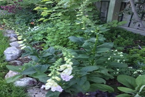 Photo of property in 61 Shields Street, Clyde, 9330