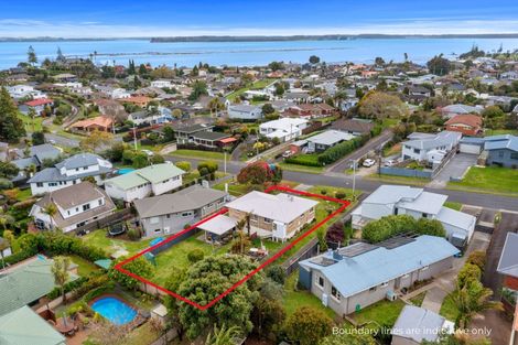 Photo of property in 52 Smiths Road, Matua, Tauranga, 3110