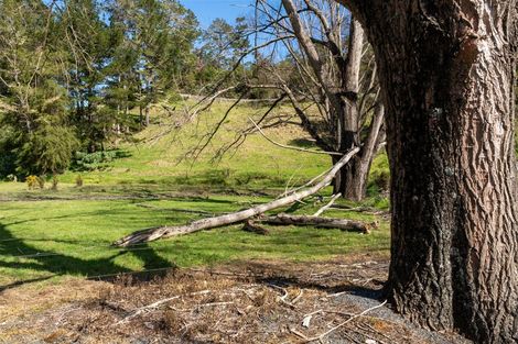 Photo of property in 42 Tirohanga Road, Kawakawa, 0282