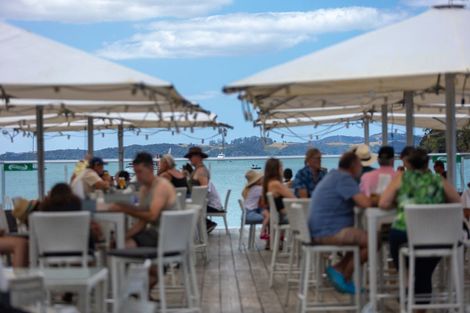 Photo of property in 9 Silver Fern Avenue, Hobsonville, 0616