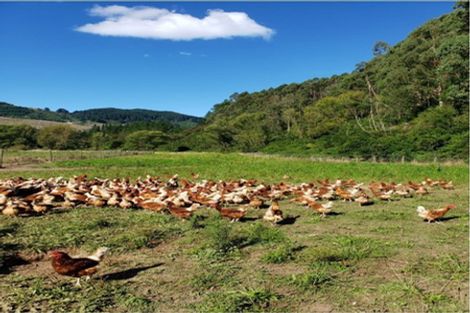 Photo of property in 275 Riwaka Valley Road, Riwaka, Motueka, 7198