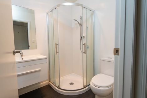 Photo of property in 5u4 Edgecumbe Street, Whitiora, Hamilton, 3200