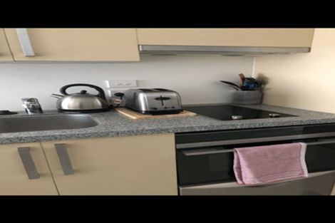 Photo of property in Dual Apartments, 108/142u Vivian Street, Te Aro, Wellington, 6011