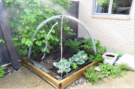 Photo of property in 13a Mill Street, Westport, 7825