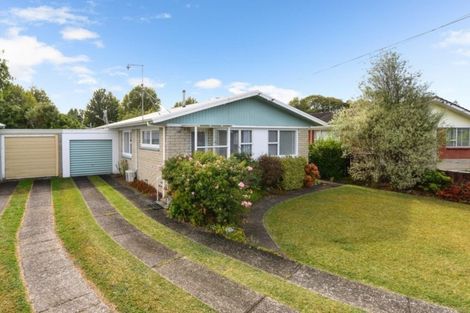 Photo of property in 29 De Vere Crescent, Chartwell, Hamilton, 3210