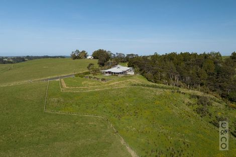 Photo of property in 457 Kiwitahi Road, Helensville, 0875