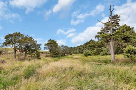 Photo of property in 1754 Ararua Road, Ararua, Matakohe, 0594