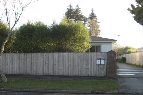 Photo of property in 191 Dey Street, Hamilton East, Hamilton, 3216