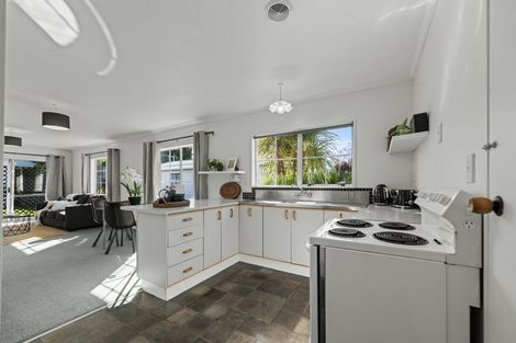 Photo of property in 10a Ihle Street, Terrace End, Palmerston North, 4410