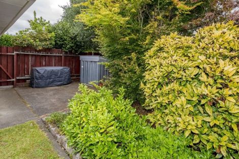 Photo of property in 138a Tiro Tiro Road, Levin, 5510