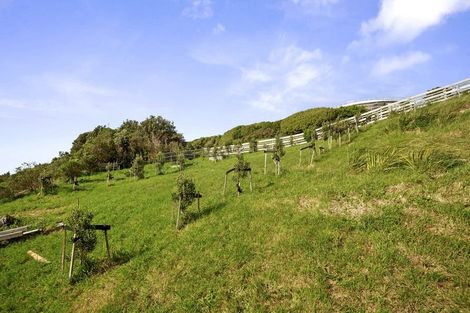 Photo of property in 125 Woodman Drive, Tawa, Wellington, 5028