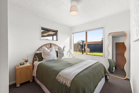 Photo of property in 47 Westminster Avenue, Tamatea, Napier, 4112