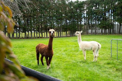 Photo of property in 12a Chitty Road, Tauwhare, Hamilton, 3287