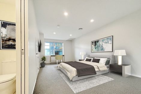 Photo of property in Aniva Terrace, 22 Ferguson Street, Newtown, Wellington, 6021