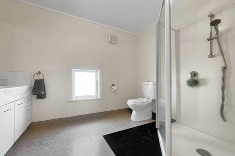 Photo of property in 17 Hankey Street, Mount Cook, Wellington, 6011