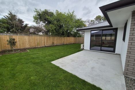 Photo of property in 22a Sussex Street, Masterton, 5810
