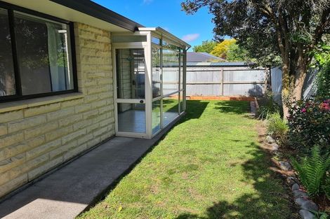 Photo of property in 53 Diamond Avenue, Spreydon, Christchurch, 8024