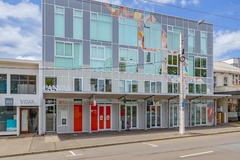 Photo of property in Canvas Apartments, 12/307 Willis Street, Te Aro, Wellington, 6011