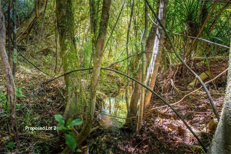 Photo of property in 425 Pakawau-bush Road, Pakawau, Collingwood, 7073